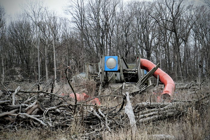 Deer Forest - January 2024 Photo From Dan Keeley